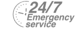 24/7 Emergency Service Pest Control in Edgware, Burnt Oak, HA8. Call Now! 020 8166 9746