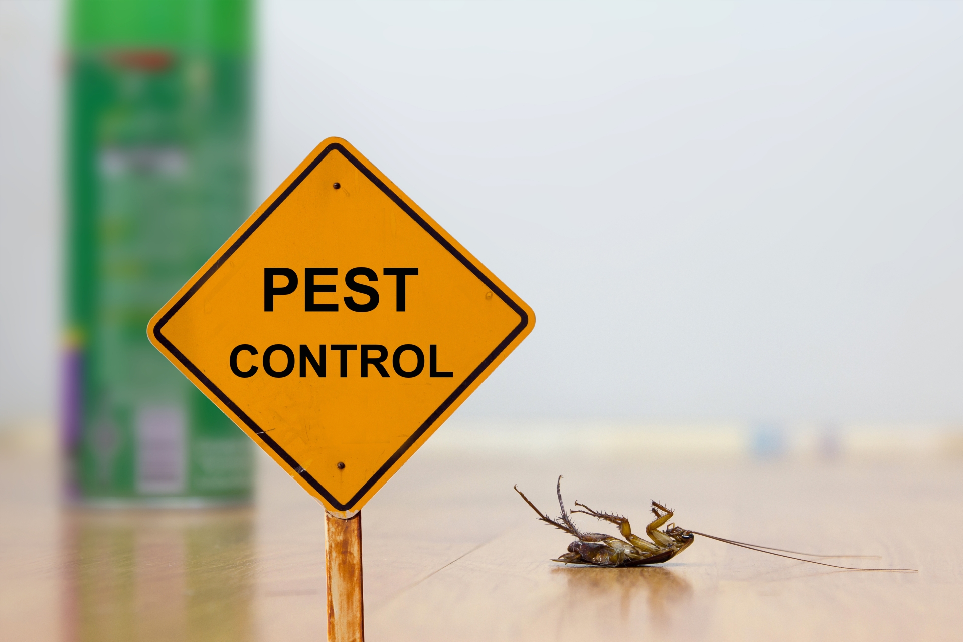 24 Hour Pest Control, Pest Control in Edgware, Burnt Oak, HA8. Call Now 020 8166 9746